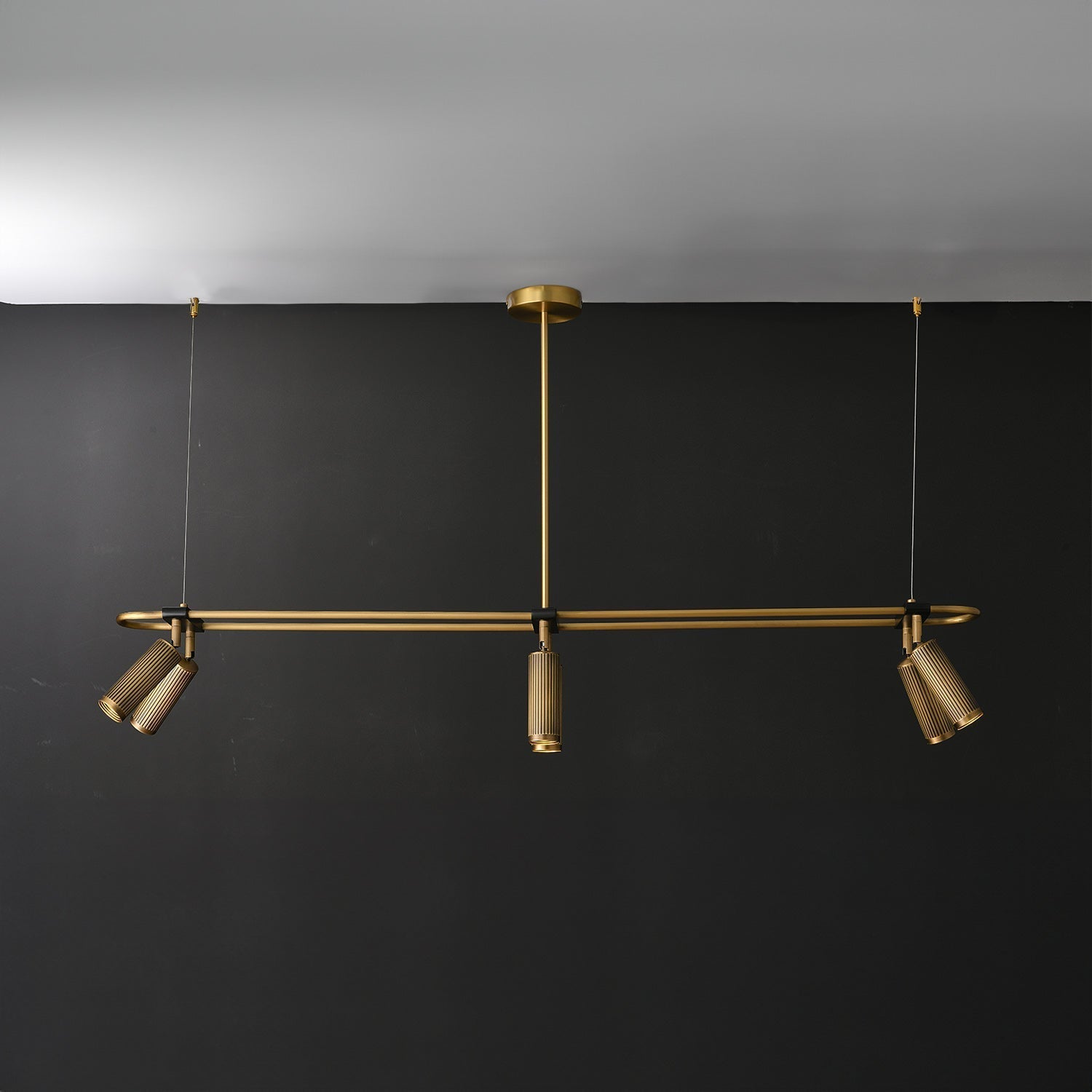 Spot Linear Suspension Pendant Light