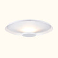 Top Ceiling Light